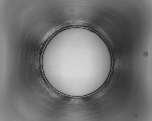 X0000115120978200911171324