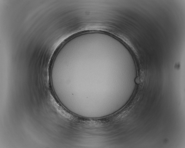 X0000115120980200911171324