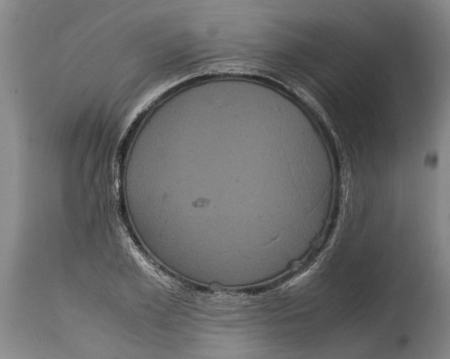 X0000115120981200911171324