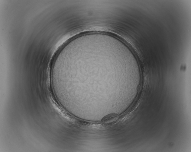X0000115120982200911171324