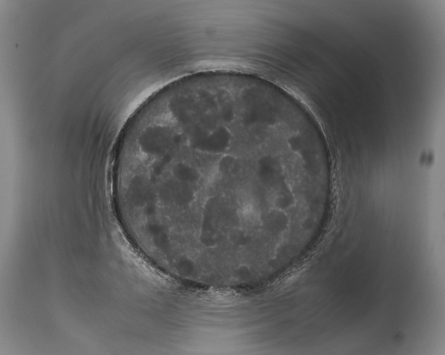 X0000115120983200911171324