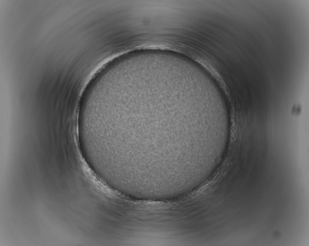 X0000115120984200911171324
