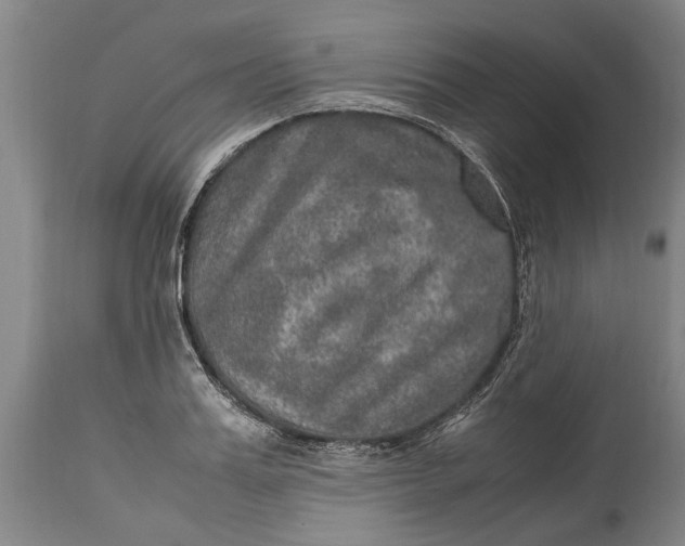 X0000115120987200911171324