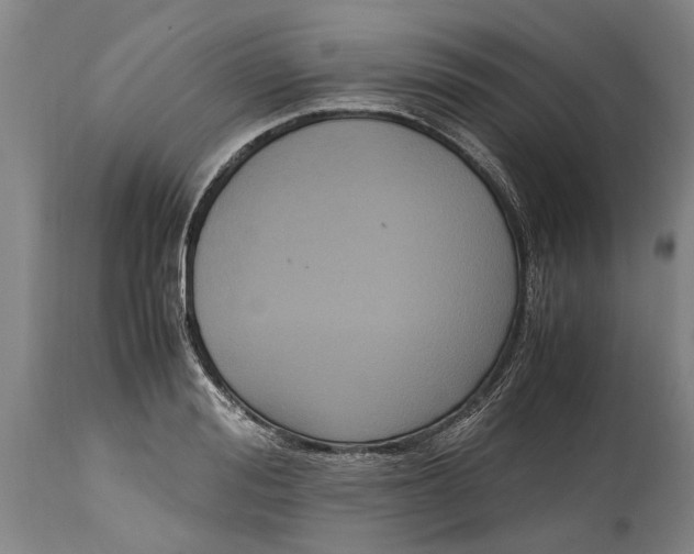 X0000115120988200911171324