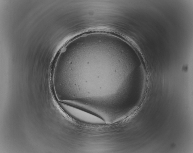 X0000115120989200911171324