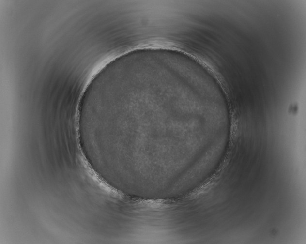 X0000115120990200911171324