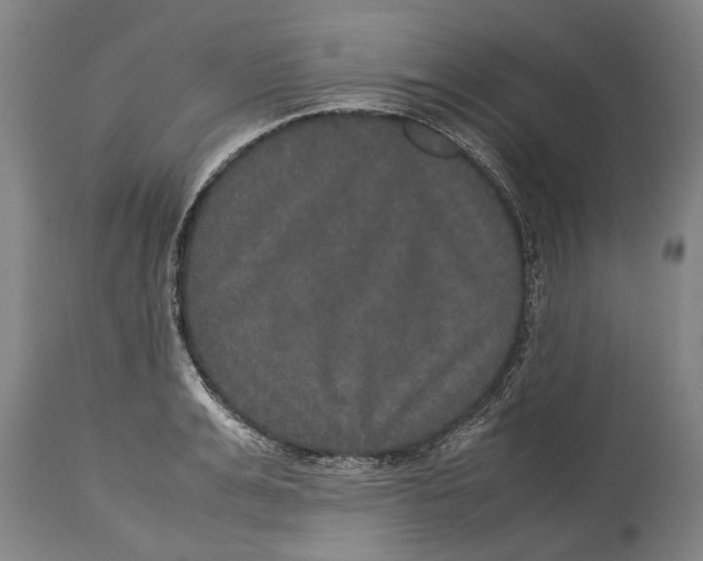 X0000115120991200911171324
