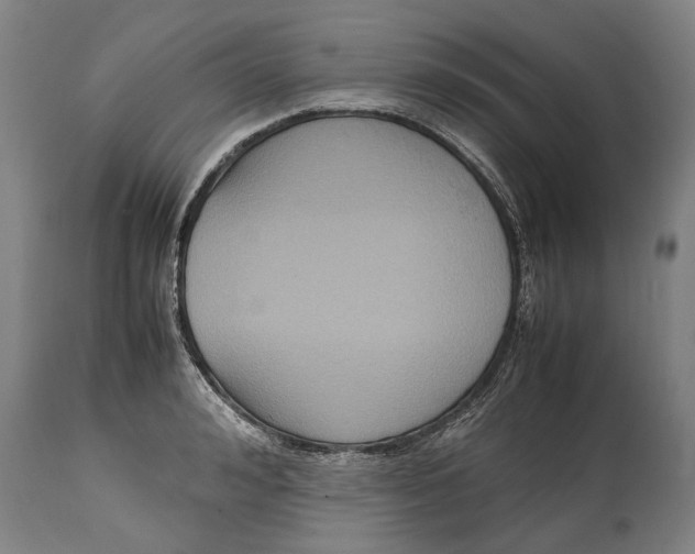 X0000115120992200911171324