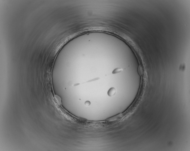 X0000115120993200911171323