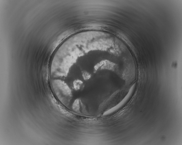 X0000115120994200911171323