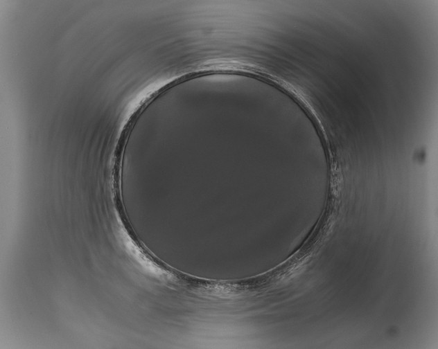 X0000115120995200911171323