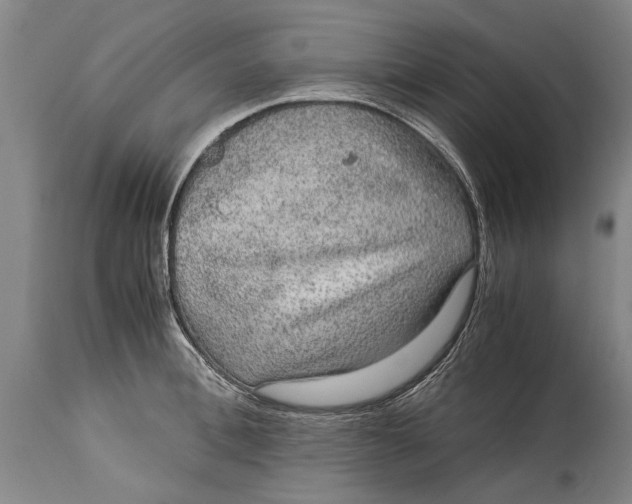 X0000115120996200911171323