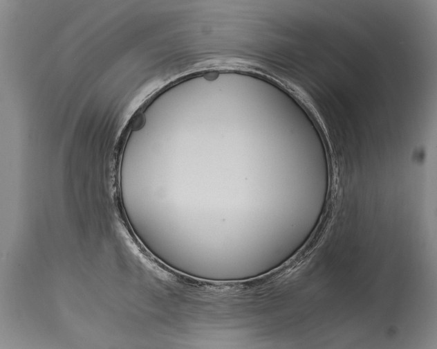 X0000115120997200911171323