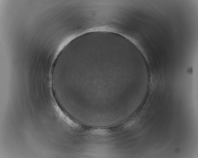 X0000115120998200911171323
