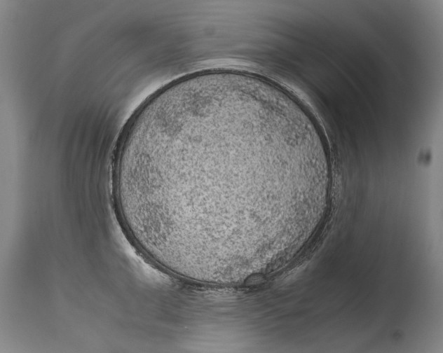 X0000115120999200911171323