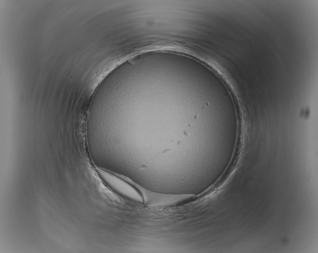 X0000115121001200911171323
