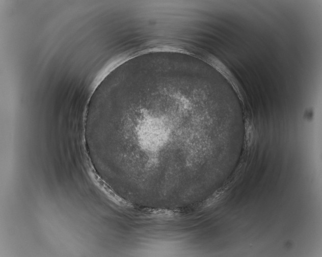 X0000115121002200911171323