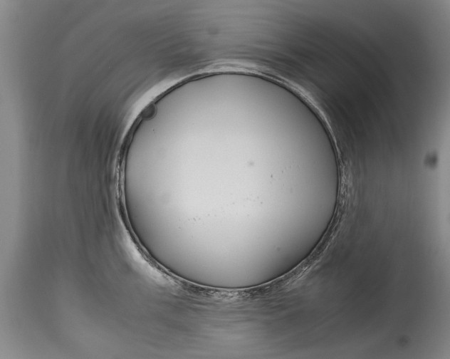X0000115121003200911171323