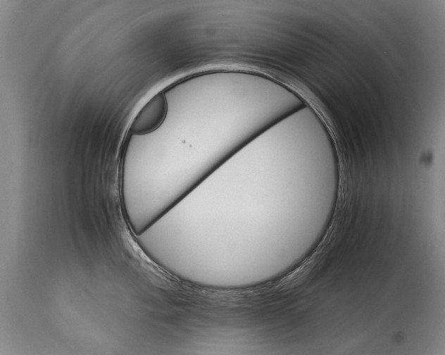 X0000115121004200911171323