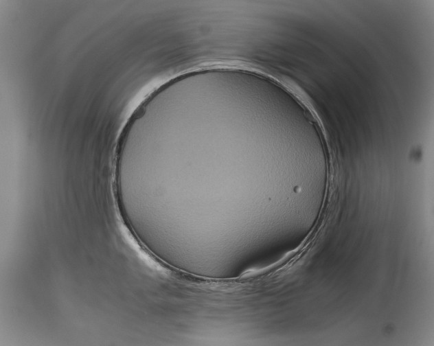 X0000115121005200911171323