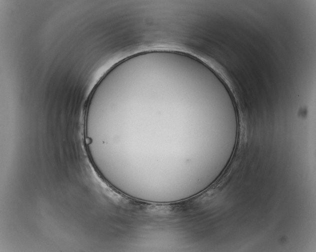 X0000115121006200911171323