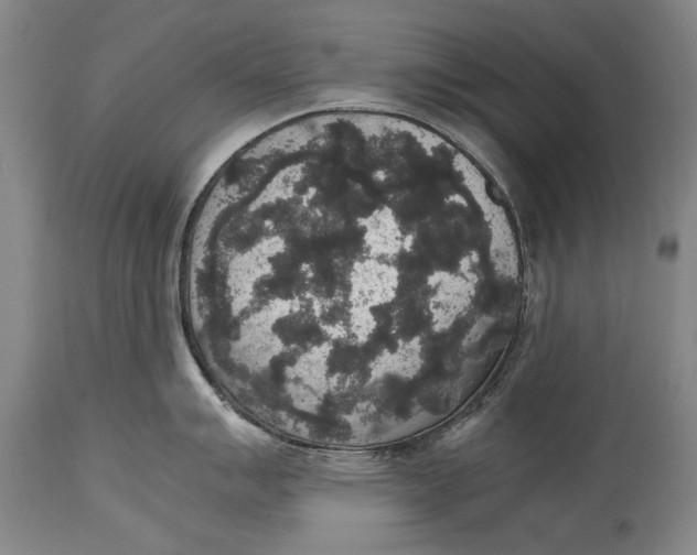 X0000115121007200911171323