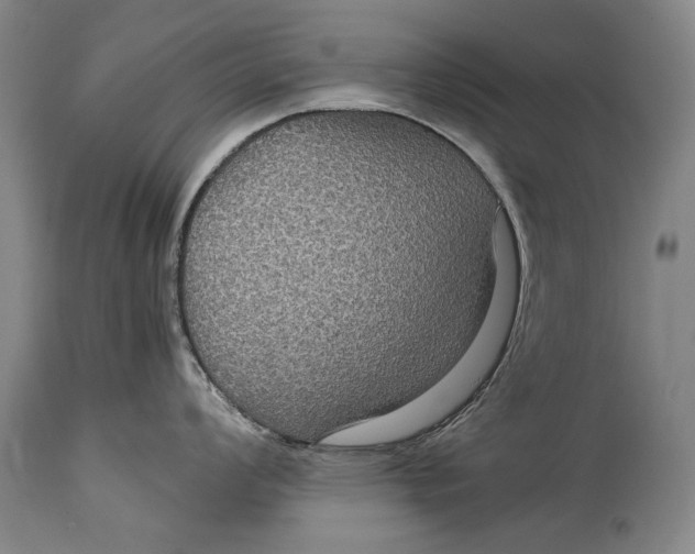 X0000115121008200911171323