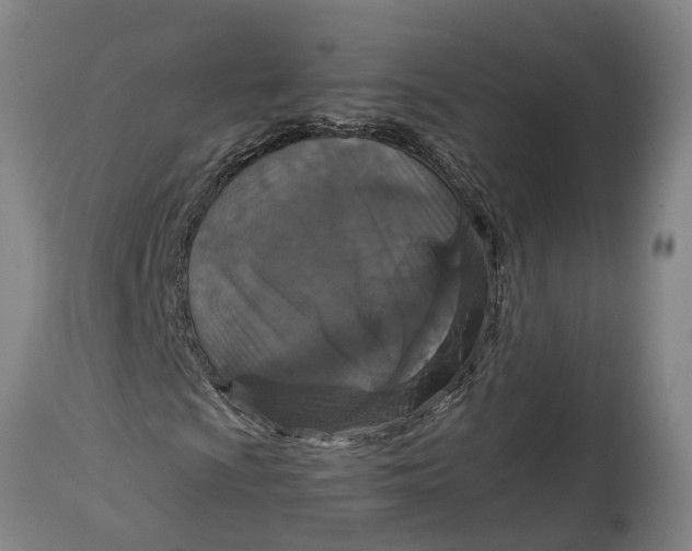 X0000115121009200911171323