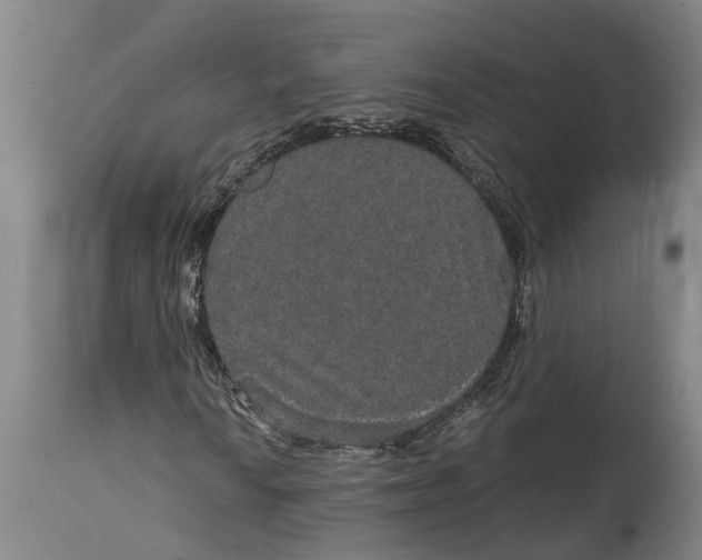 X0000115121010200911171323