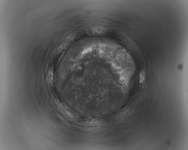 X0000115121011200911171323