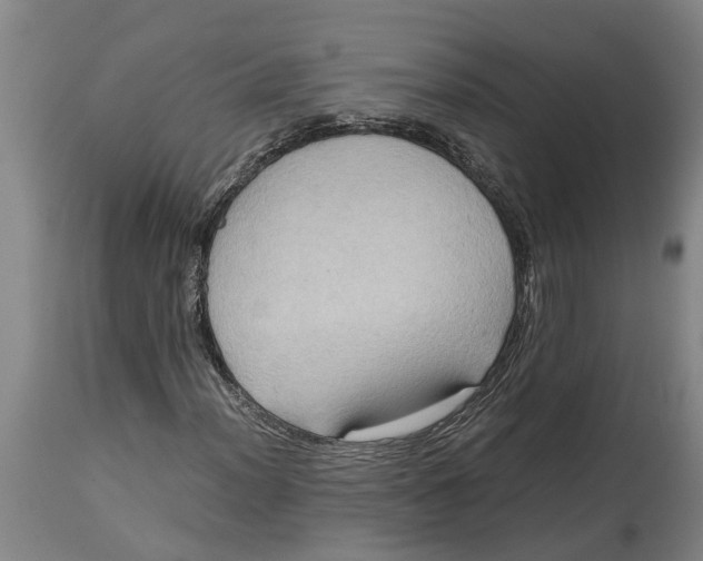X0000115121012200911171323