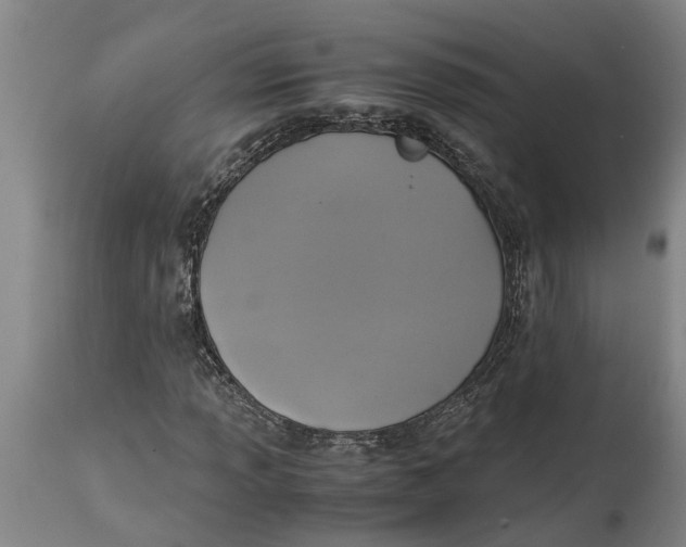 X0000115121013200911171323