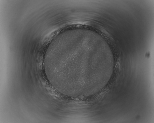 X0000115121014200911171323