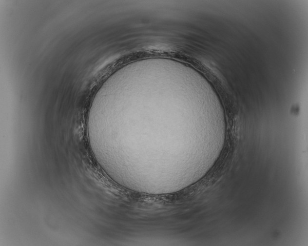 X0000115121015200911171323
