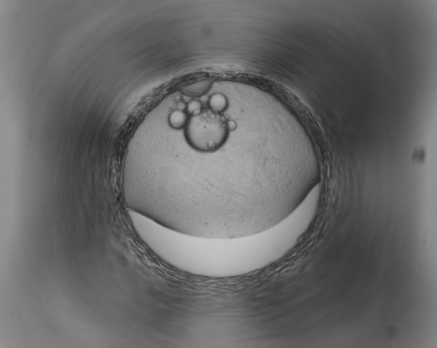 X0000115121016200911171323
