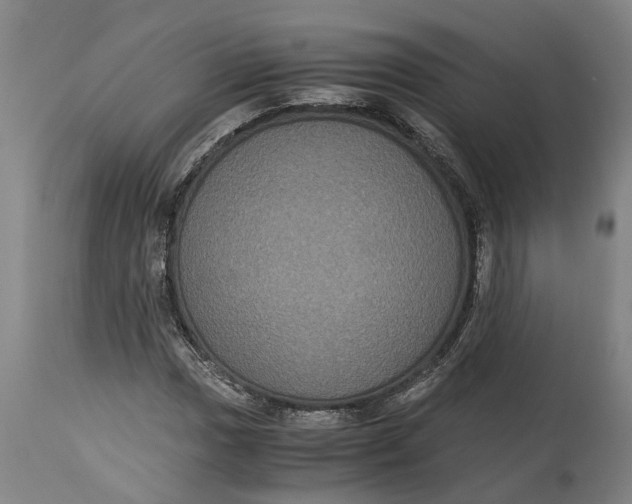 X0000115121017200911171323