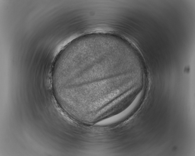 X0000115121018200911171323