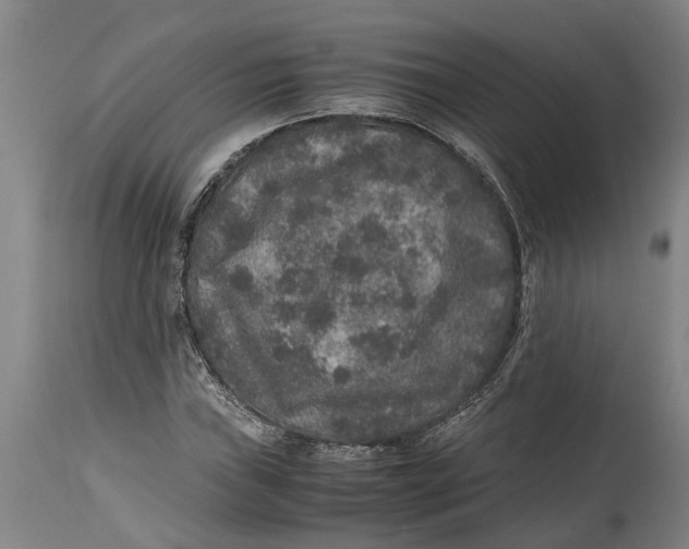 X0000115121019200911171323
