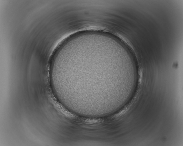 X0000115121021200911171323