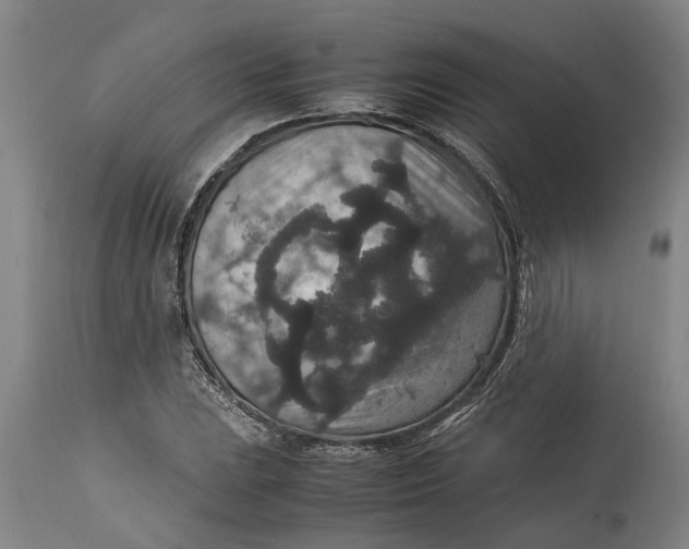 X0000115121023200911171323