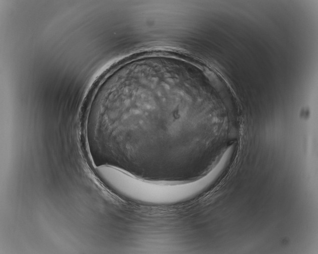 X0000115121024200911171323