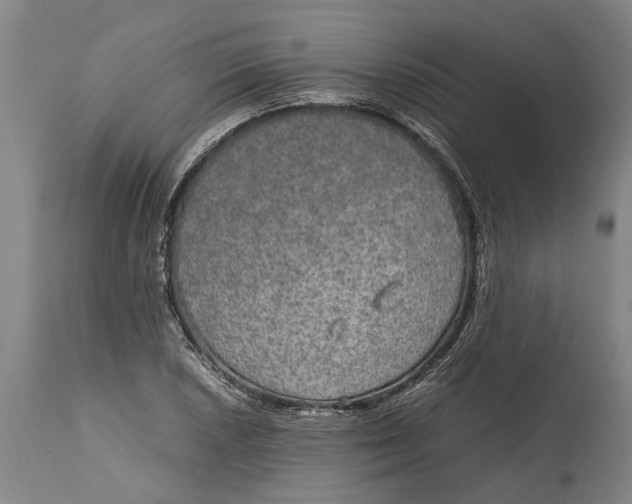 X0000115121026200911171323