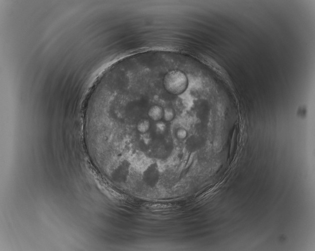 X0000115121027200911171323