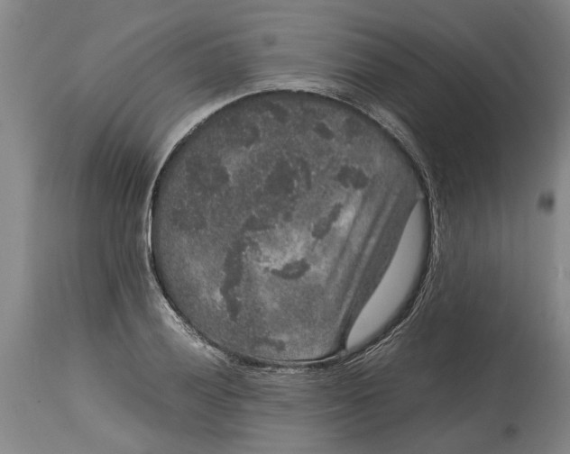 X0000115121028200911171323