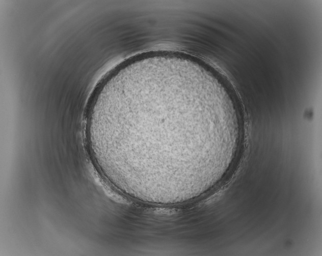 X0000115121029200911171323