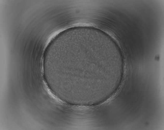 X0000115121030200911171323