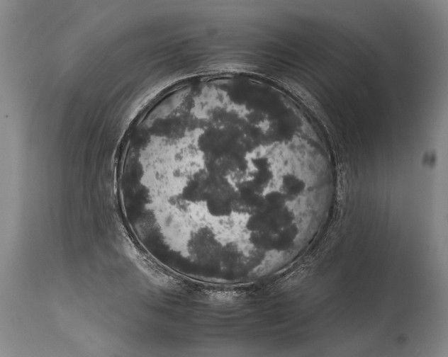 X0000115121031200911171323