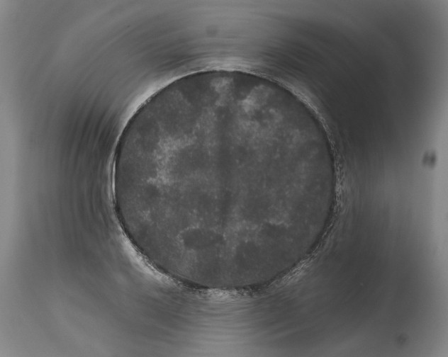X0000115121032200911171323