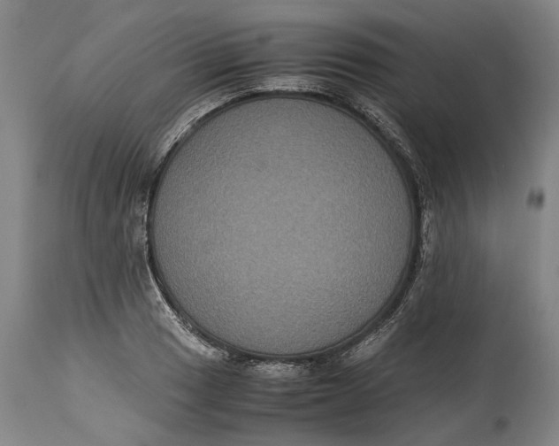 X0000115121033200911171323