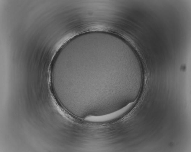 X0000115121034200911171323